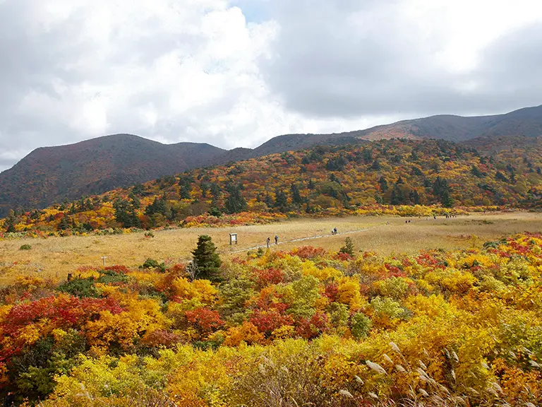 栗駒山 名残ヶ原湿原 秋