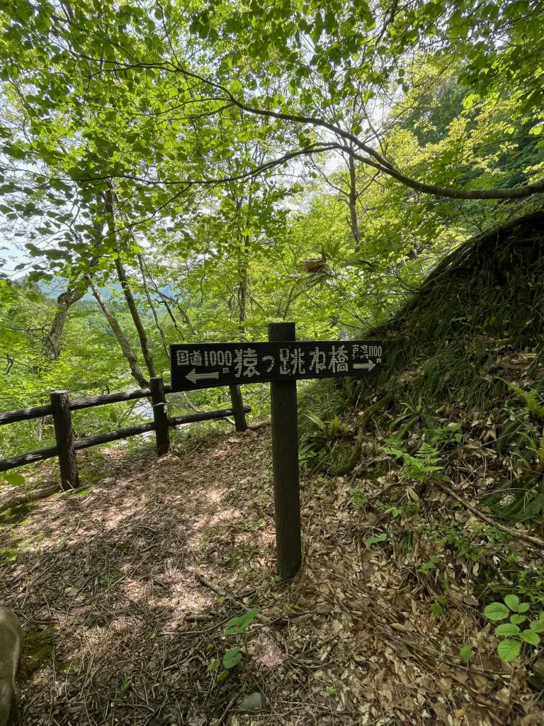 猿跳古道