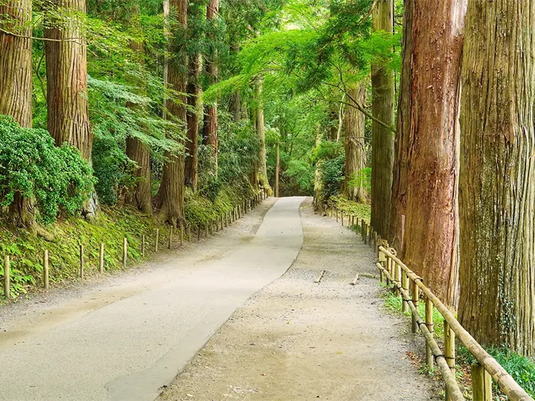 中尊寺 境内