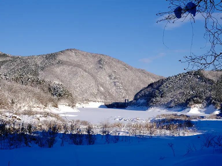 栗駒山 冬